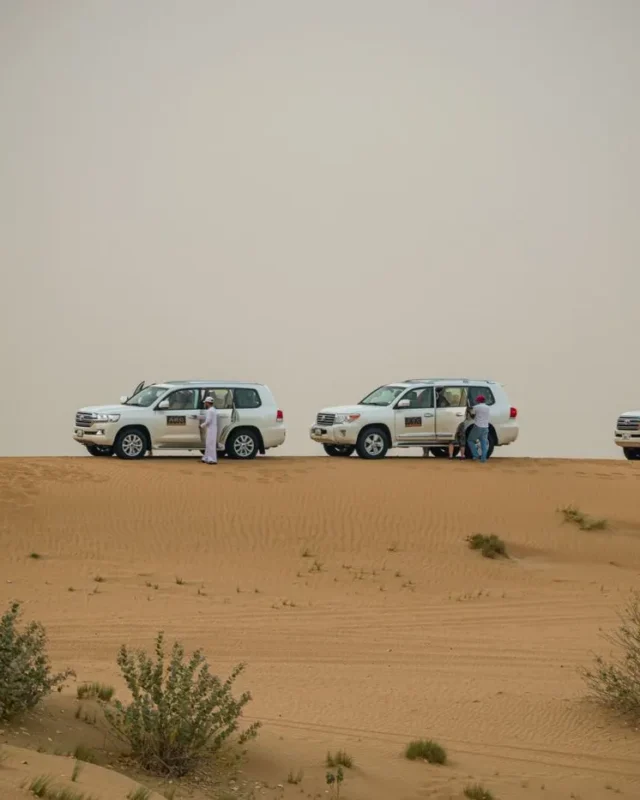 10 Remarkable Tours To Experience The Best Of Dubai