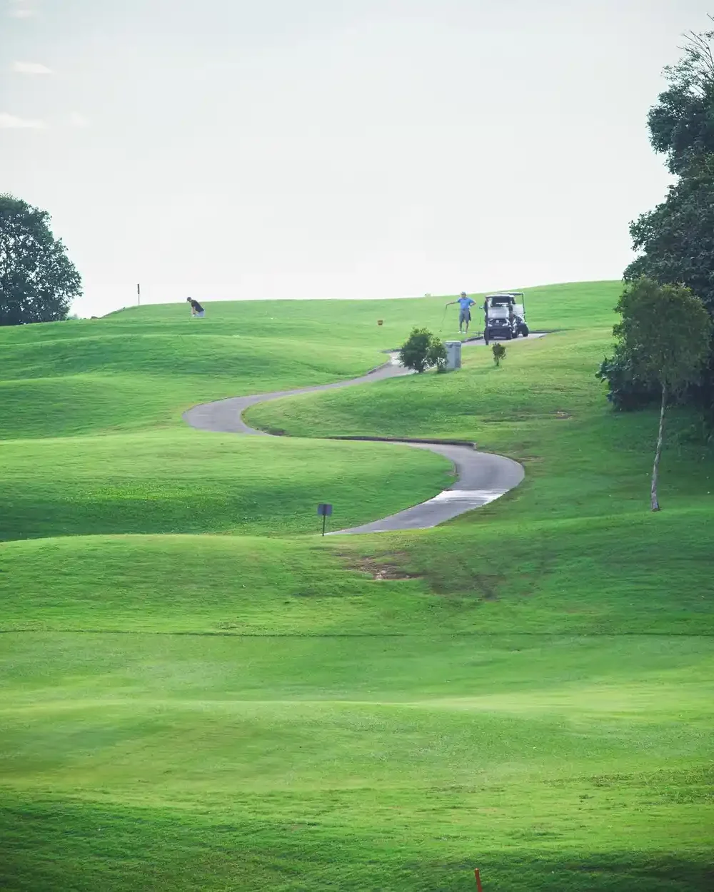 5 Impressive Health Benefits of Golf