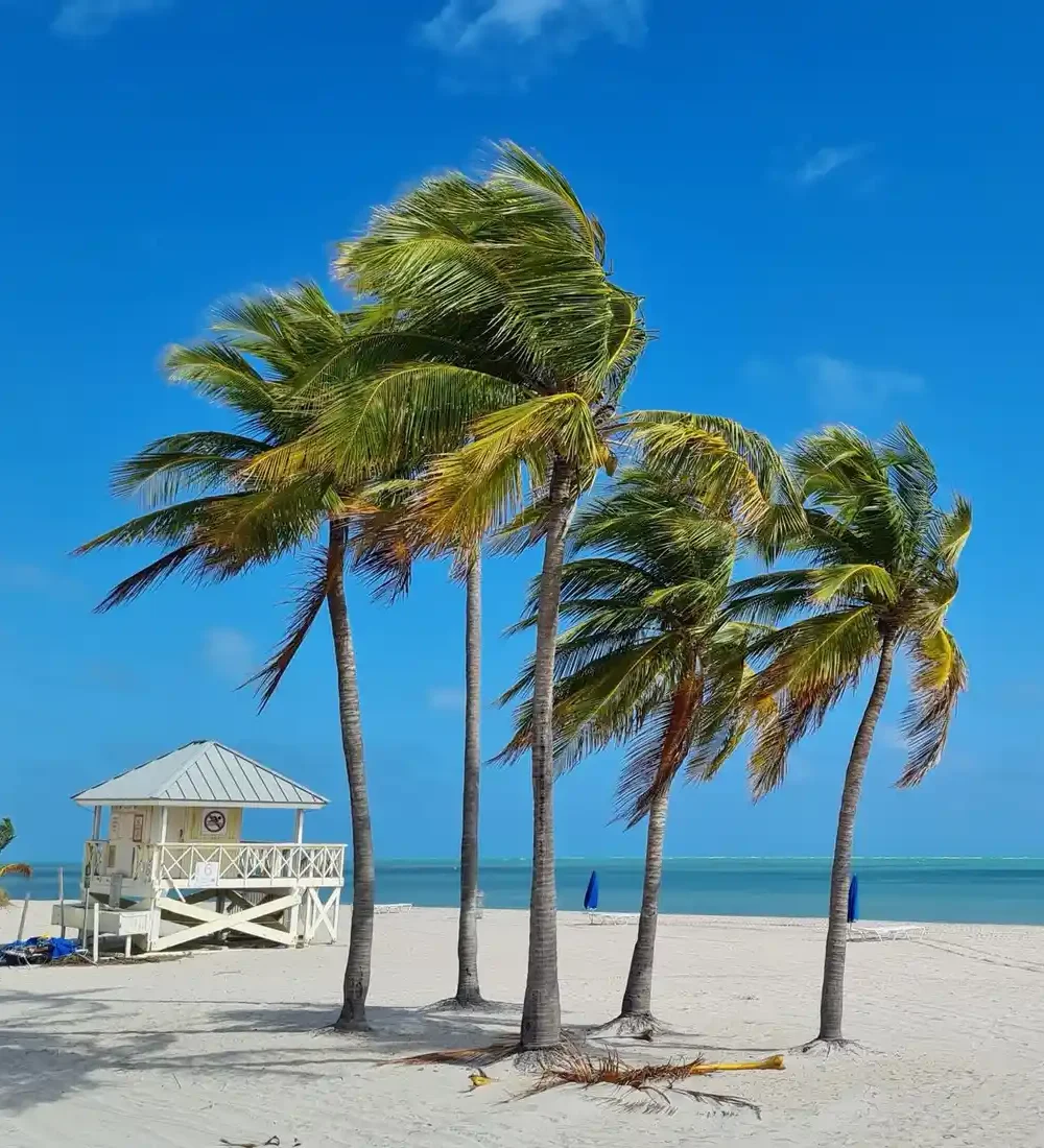 7 Badass Places to Visit in Sunshine State Florida