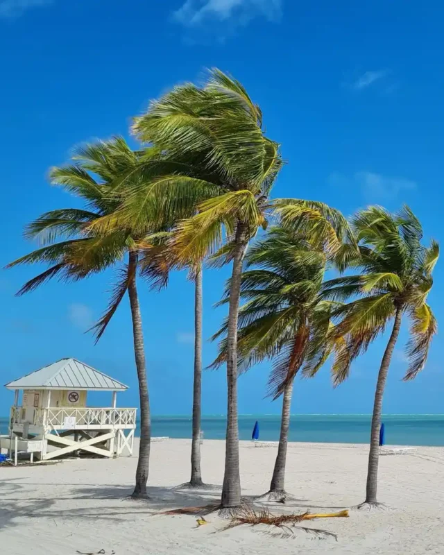7 Badass Places to Visit in Sunshine State Florida