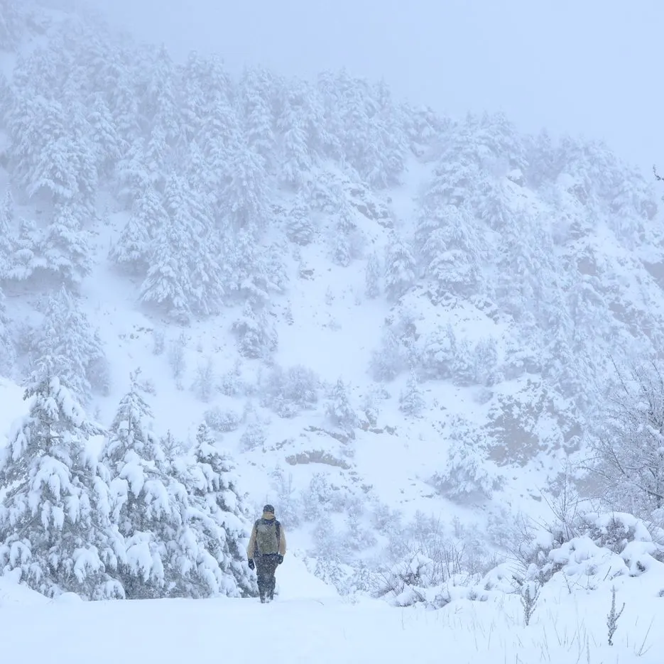 8 Crucial Tips for Winter Hiking