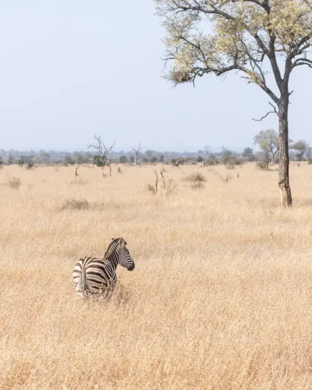 A selection of African must-visit countries 