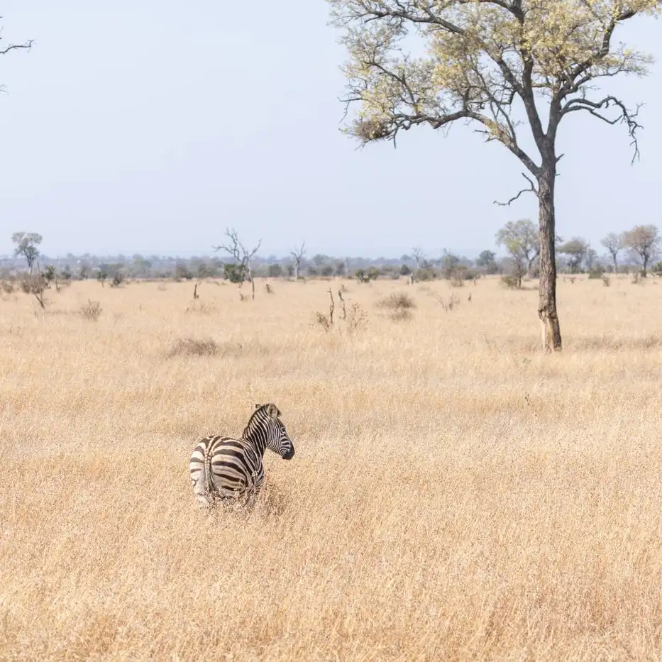 A selection of African must-visit countries 