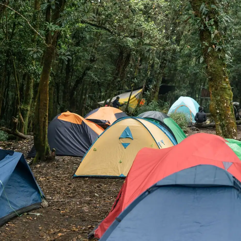 All the Essentials For an Awesome Camping Trip