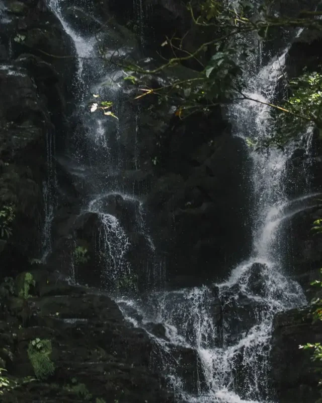 Costa Rica is dangerous or not: Everything you need to know