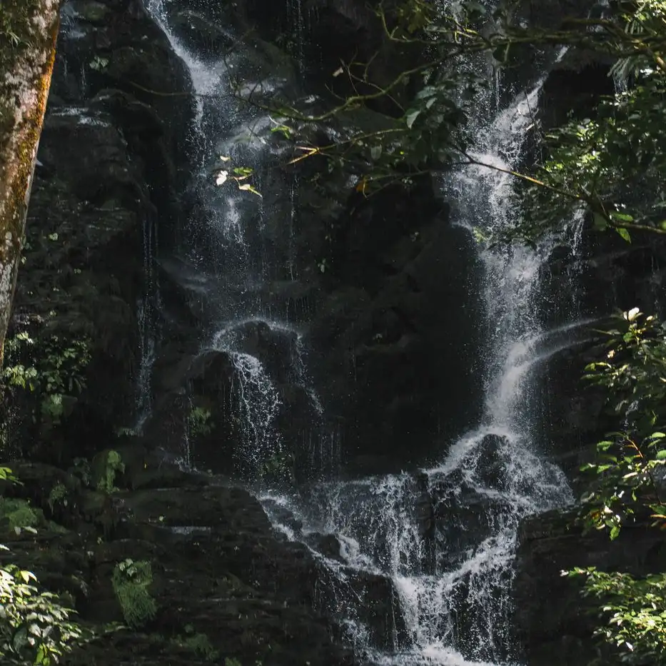 Costa Rica is dangerous or not: Everything you need to know