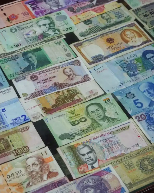 Managing Currency Conversion and Budgeting for an Adventure Trip
