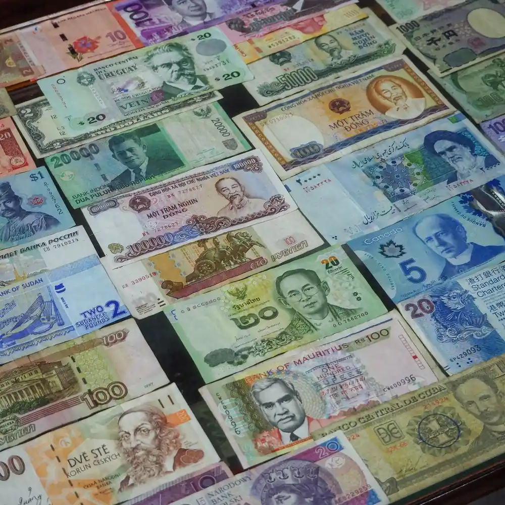 Managing Currency Conversion and Budgeting for an Adventure Trip