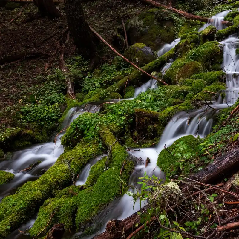 Eagle Falls Washington: Nature’s Hidden Paradise