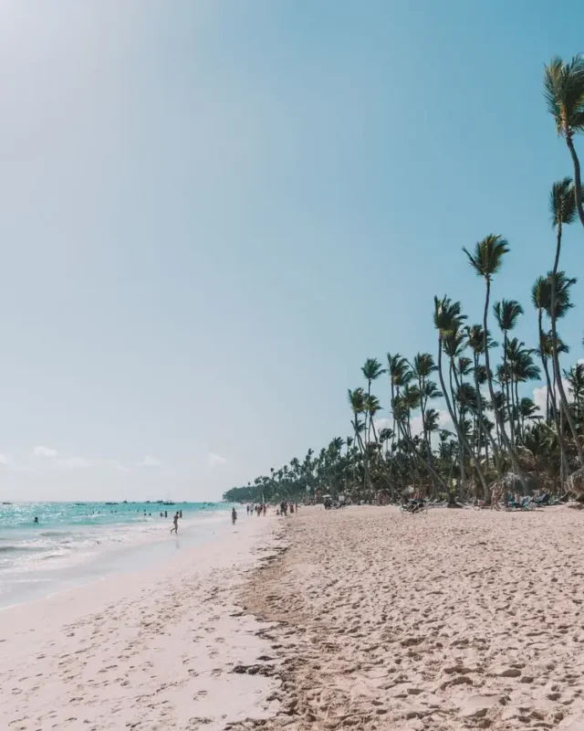 Experience Excellence in Punta Cana