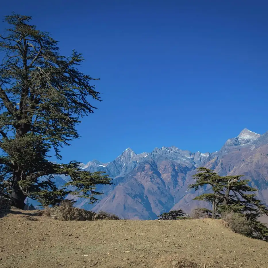 Exploring the Mystique Embarking on the Nag Tibba Trek