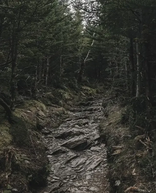 10 Best Trails to Hike in the Smoky Mountains
