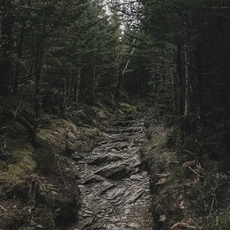 10 Best Trails to Hike in the Smoky Mountains