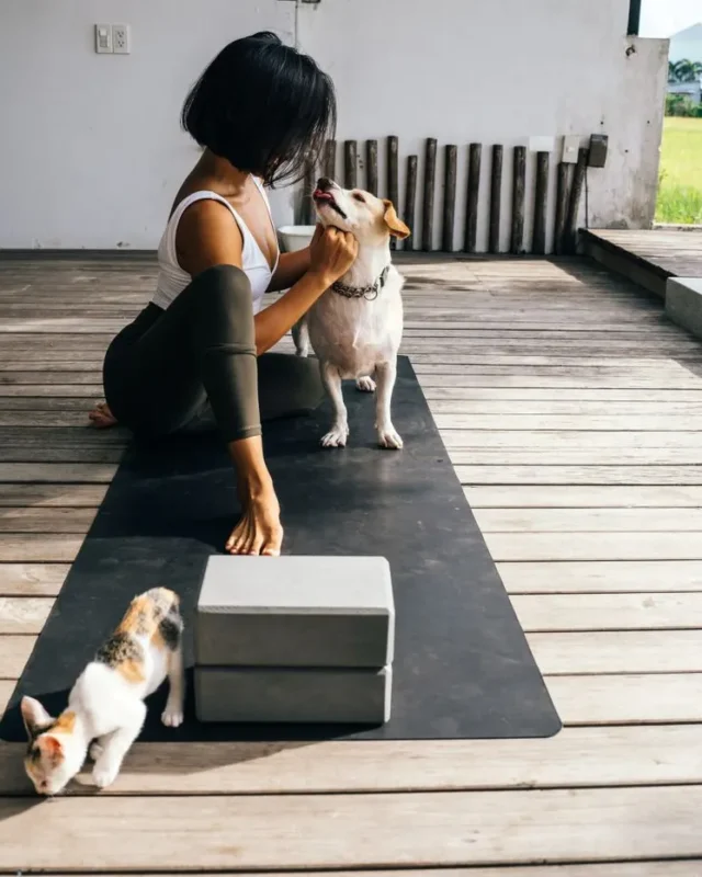 How to Keep Animals Healthy – 3 Top Tips?