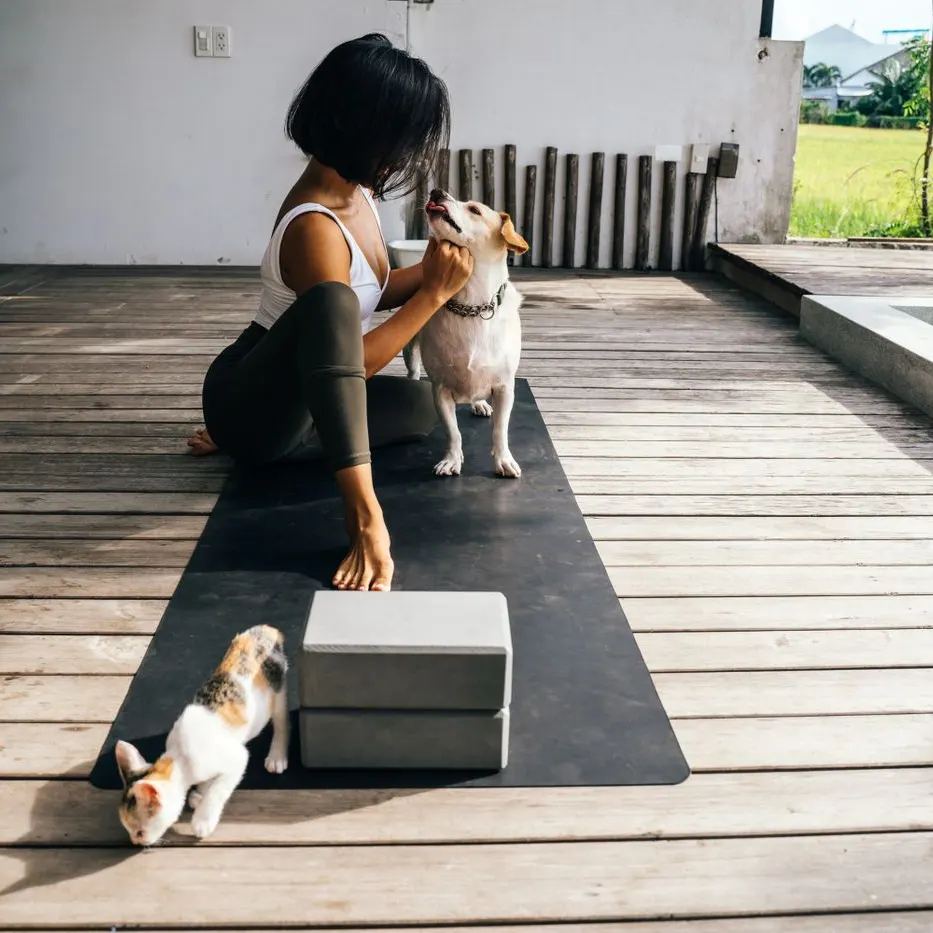 How to Keep Animals Healthy – 3 Top Tips?