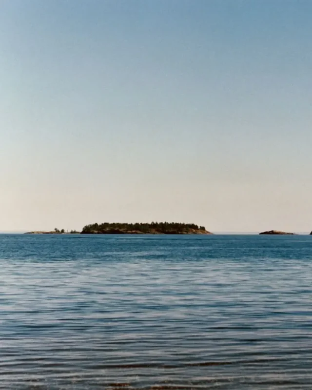 Long Island Utopia Guide in the City