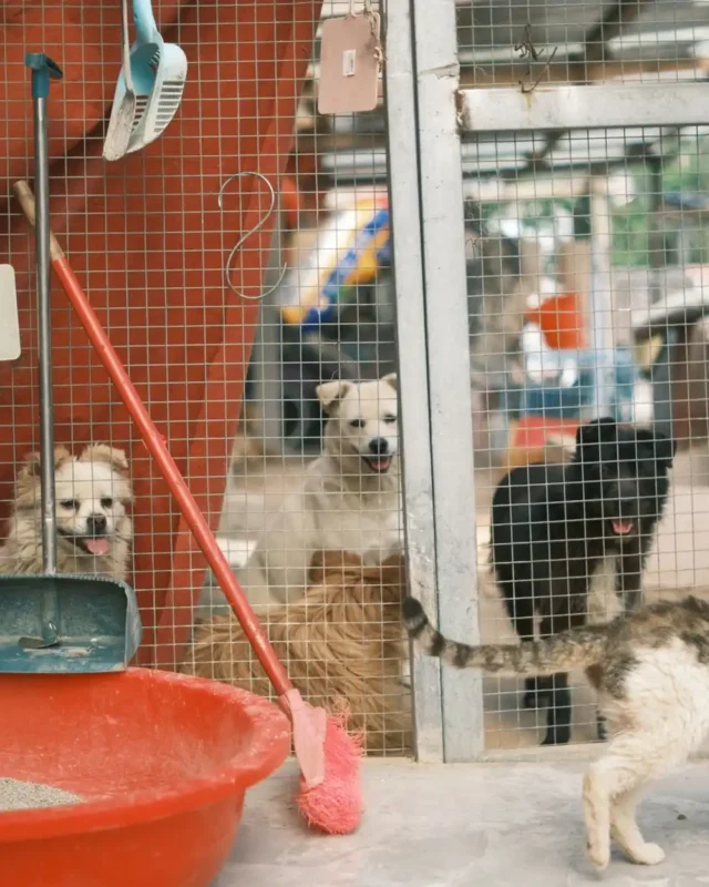 Step Into Nature’s Classroom at Prani the Pet Sanctuary