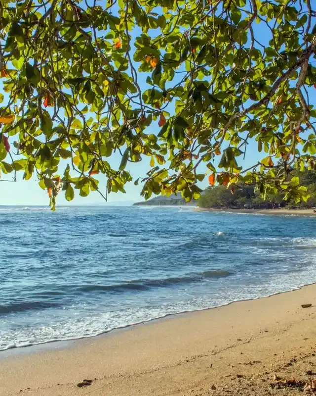 San Jose Costa Rica Beaches: Coastal Bliss