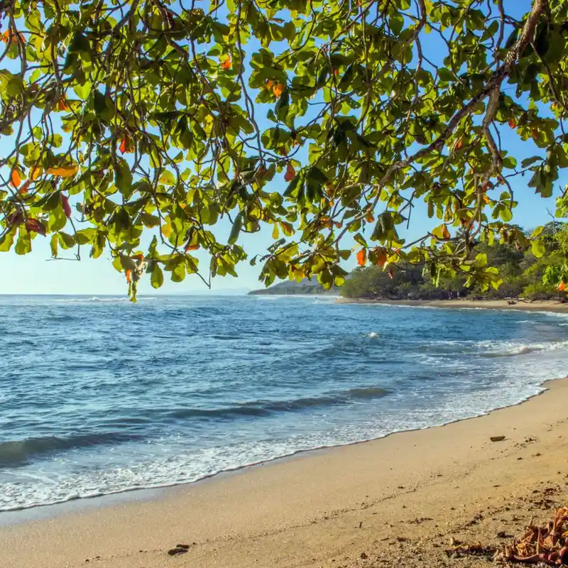 San Jose Costa Rica Beaches: Coastal Bliss