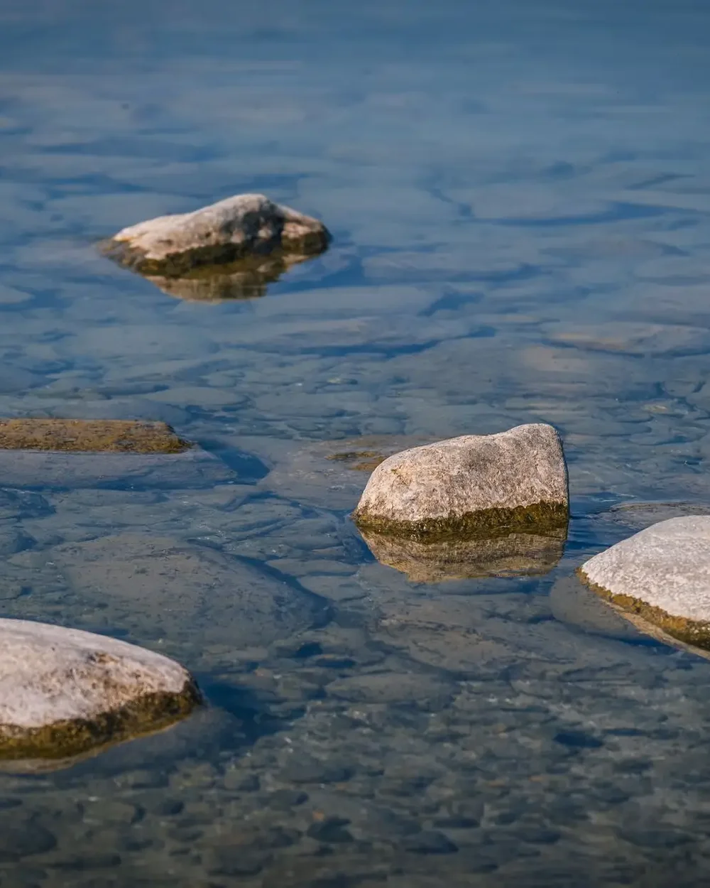 Shoreside Serenity: Pawna Lake Bliss