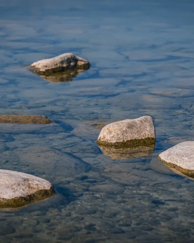 Shoreside Serenity: Pawna Lake Bliss