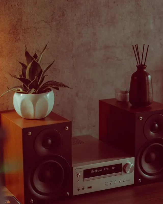 Best Way to make Stereo Central System
