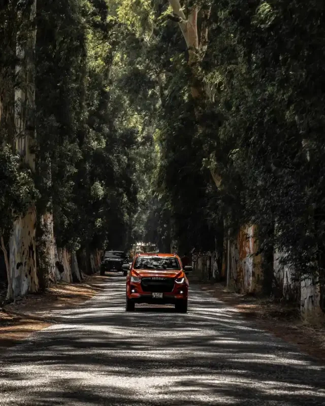 The Best Cars for a Road Trip and Why