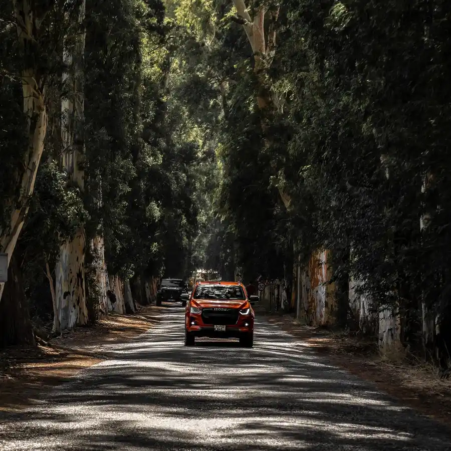 The Best Cars for a Road Trip and Why