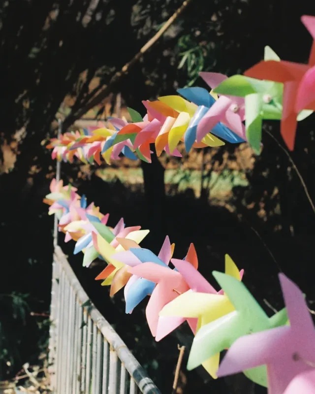 The Comprehensive Guide To Yard Spinners