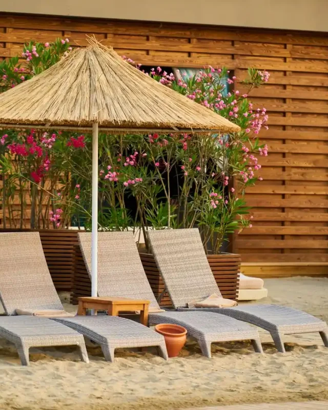 Why should I go for a beach holiday?